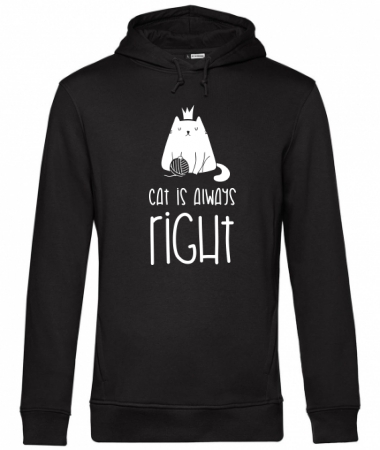 Cat is right