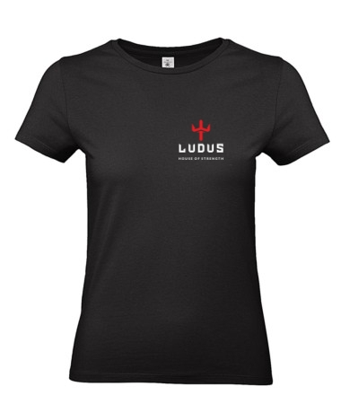 Ludus