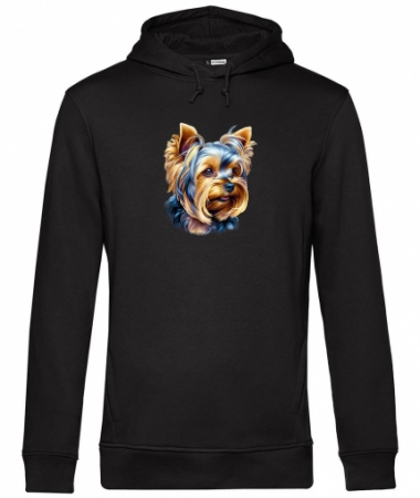 Z yorkiem