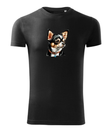 Chihuahua