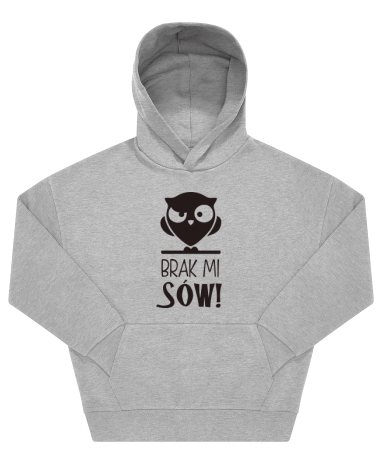 Brak mi sów