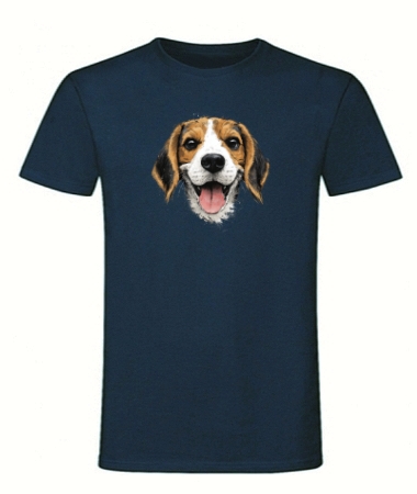 Beagle