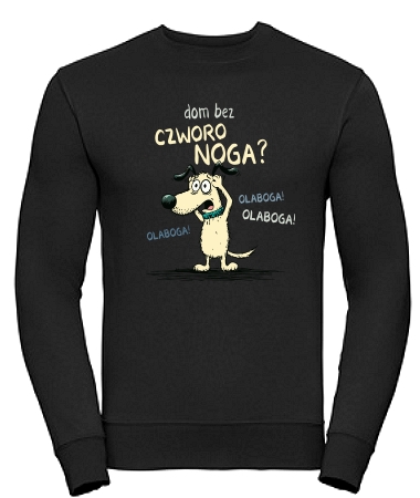 Dom bez czworonoga [pies]