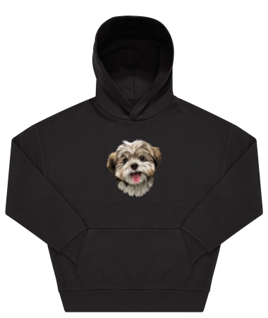 Pies Shih tzu