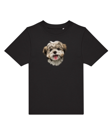 Pies Shih tzu