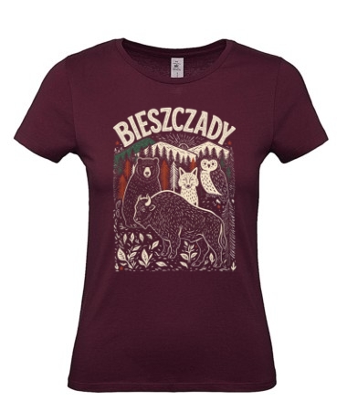 Bieszczady [góry]