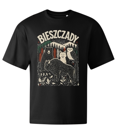 Bieszczady [góry]