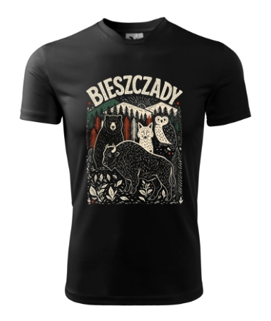 Bieszczady [góry]