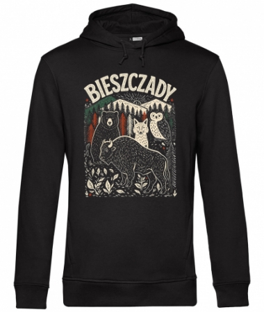 Bieszczady [góry]