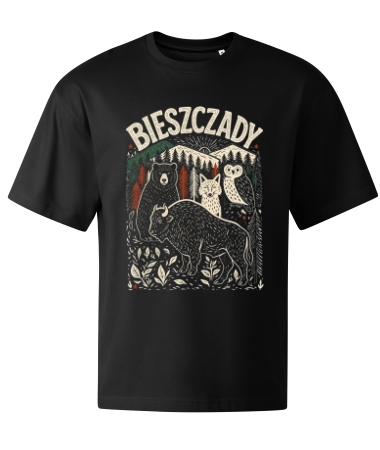 Bieszczady [góry]
